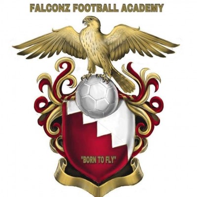 Falconz Football Academy