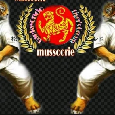 Mussoorie Taekwondo Academy