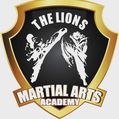 THE LIONS MARTIAL ARTS ACADEMY