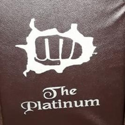 The platinum Academy of Martial Arts