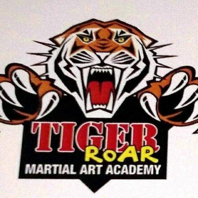 Tiger Roar Martial Art Academy - Karate