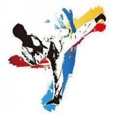 United Taekwondo Academy