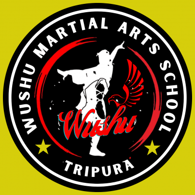 Wushu martial arts school