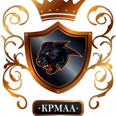 King Panther Martial Art academy