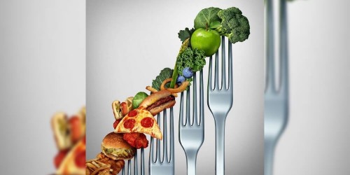 The ABC of a Sportsperson’s Diet