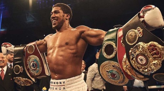 Anthony Joshua vs. Kubrat Pulev: Heavyweight Champion fight ...