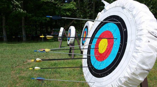 Indian Para-Archer Ankit tested positive for COVID-19, state...