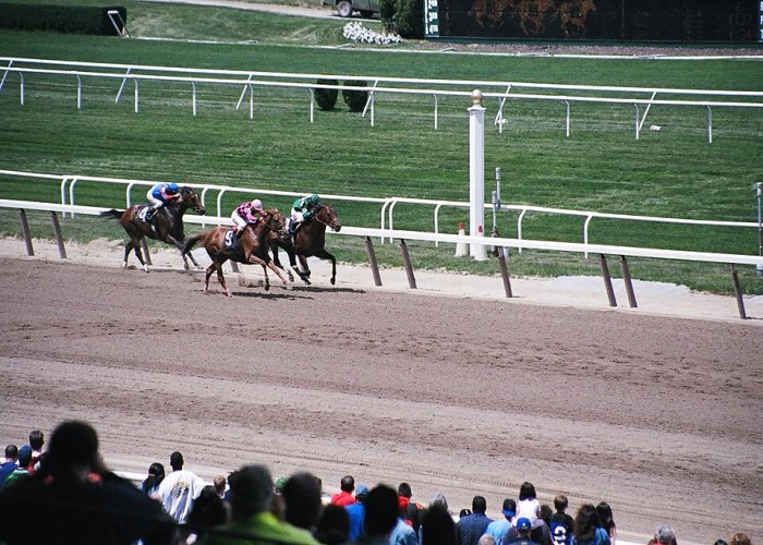 Belmont Park