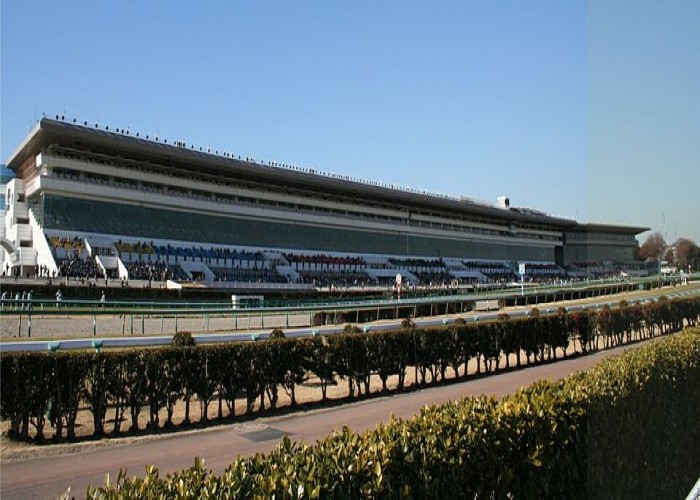 Nakayama Racecourse