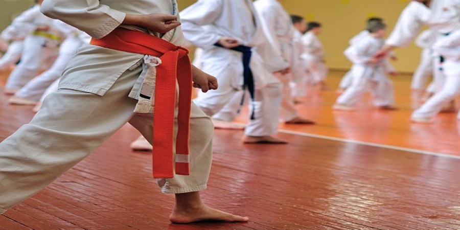Karate sports