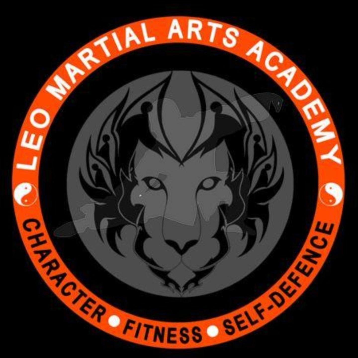 Leo Martial Arts Academy | Mixed Martial Arts (MMA) Academy in Udaipur ...